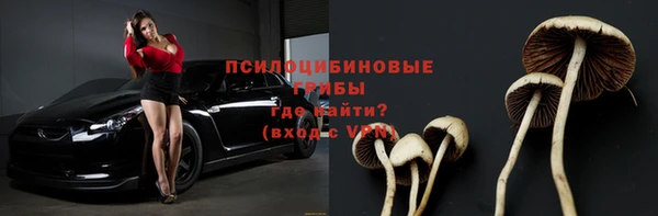 хмурый Елабуга