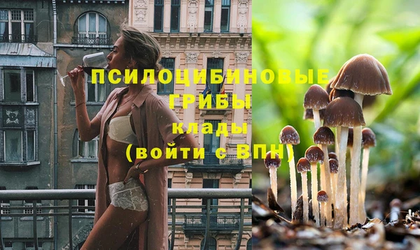герыч Ельня