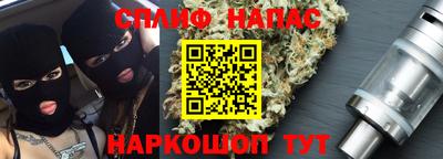гашик Кимры