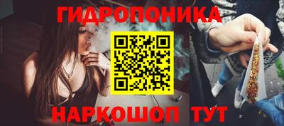 трава Аргун