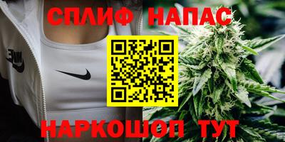 гашик Кимры