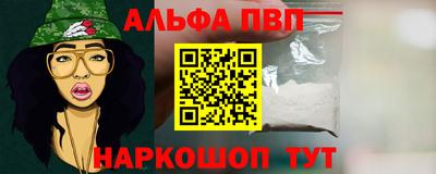 гашик Кимры