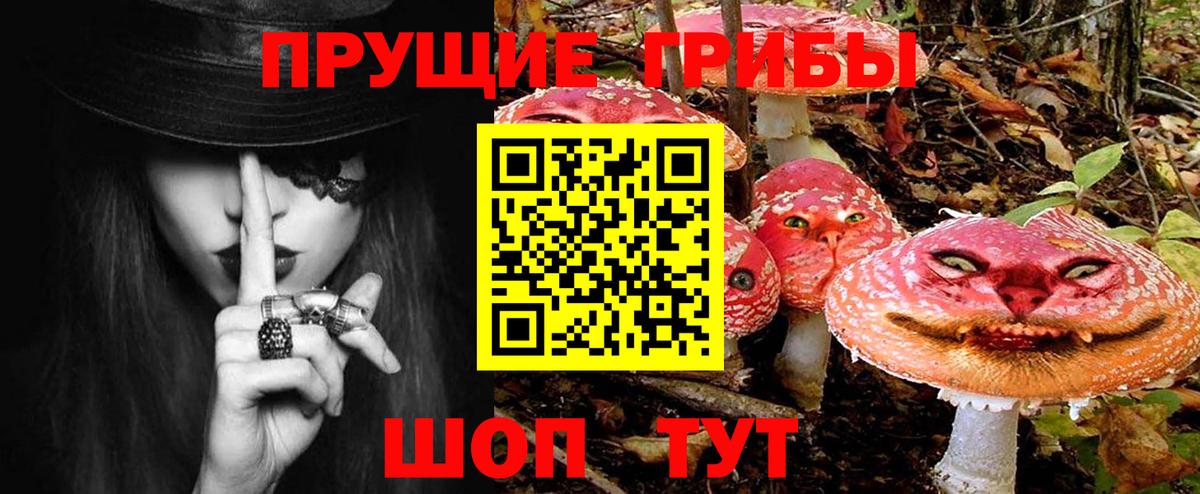 Псилоцибиновые грибы GOLDEN TEACHER  Вход с VPN  Сибай 