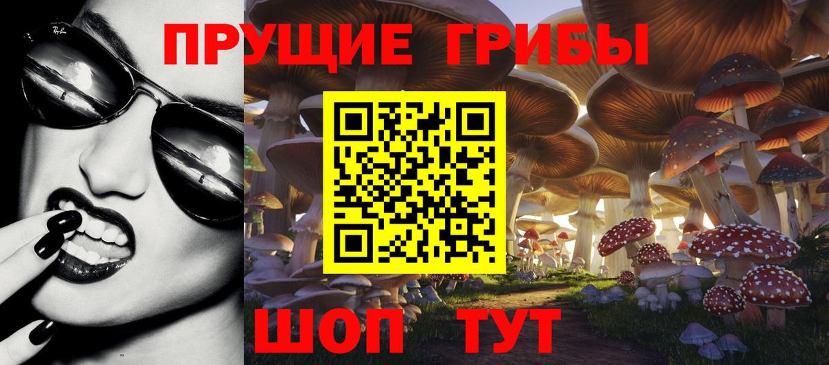 Псилоцибиновые грибы мицелий Сибай